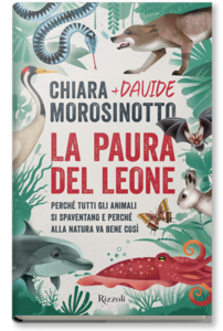 la paura del leone